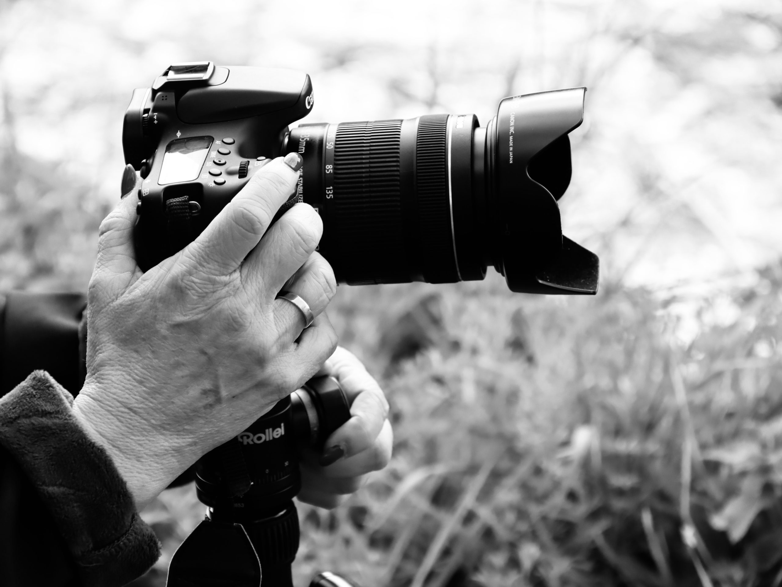 L'apprentissage de la photographie