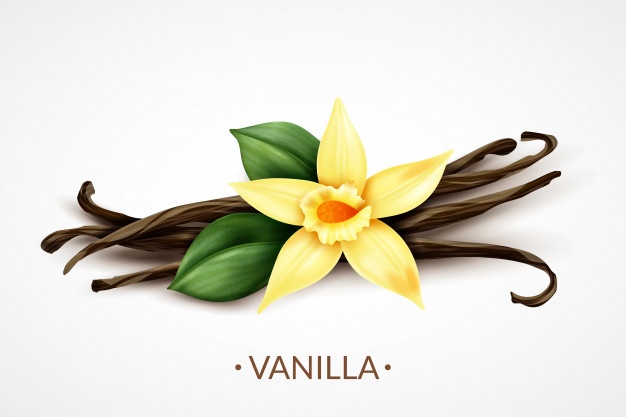 Heureusement, l'extrait de vanille contient des ingrédients antibactériens qui empêchent les boutons et autres infections du visage de se développer.